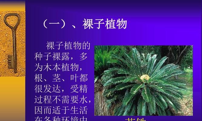 苹果是裸子植物还是被子植物（探究苹果的分类学归属）
