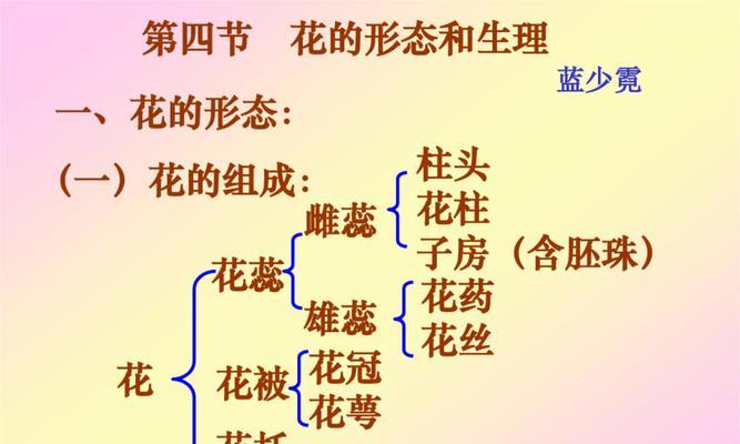 兰花花期管理方法与要点（从养护到繁殖全方位解析）