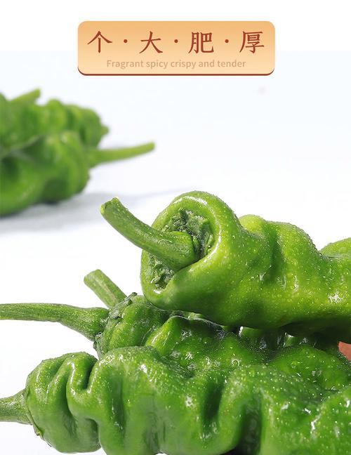 青椒可以生吃吗（探究青椒的营养价值和食用方法）