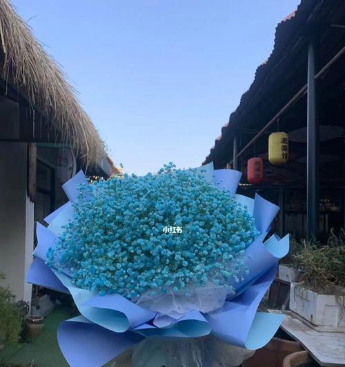 蓝色满天星的寓意与象征（浪漫）