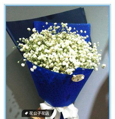 蓝色满天星的寓意与象征（浪漫）