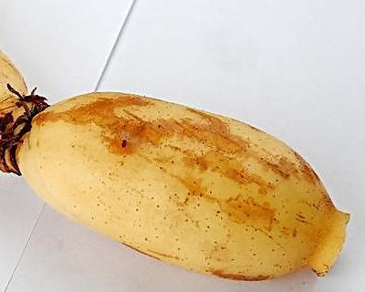 莲藕的禁忌（莲藕与何物不宜同食）