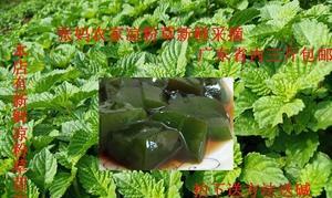 凉粉草和烧仙草的区别（认识草本植物中的两个常见种类）
