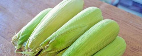 生玉米可以冷冻保存吗？——冷冻保存生玉米的方法与注意事项