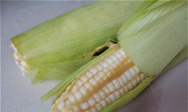 生玉米可以冷冻保存吗？——冷冻保存生玉米的方法与注意事项