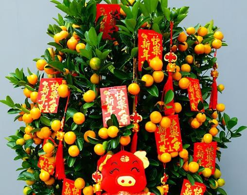 年宵花（以寓意吉祥的年宵花为主题）