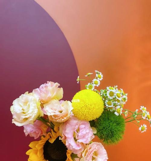 花开金榜，寓意美好的花卉世界（金榜题名花）