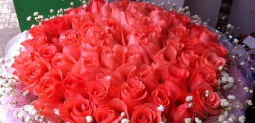 栀子花花语（栀子花的花语代表什么）