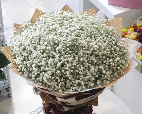 满天星花束的象征意义（用满天星花束表达情感的魅力）