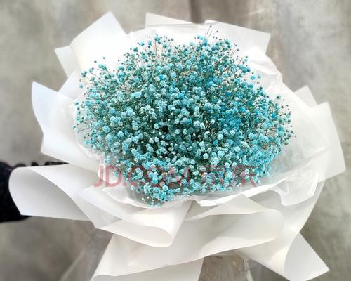 满天星花束的象征意义（用满天星花束表达情感的魅力）