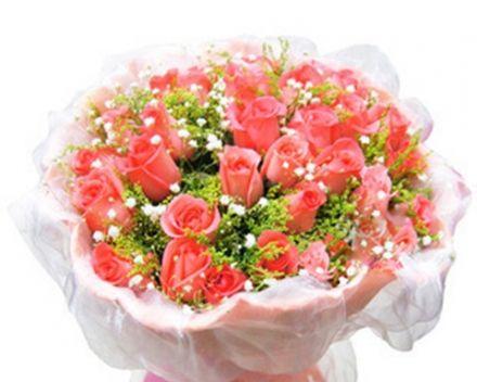 玫瑰花的含义和象征（探寻玫瑰花传达的情感和表达的意义）