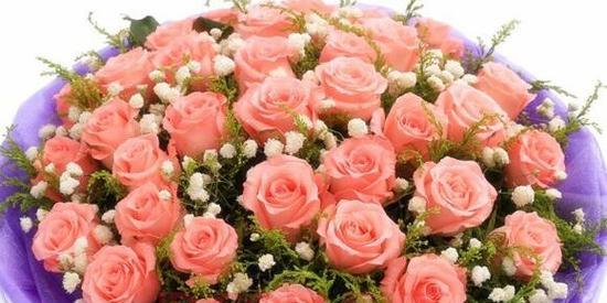 玫瑰花的花朵数与寓意（揭秘不同花朵数玫瑰的含义）
