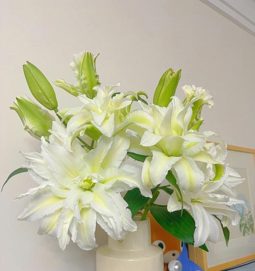 送人百合花的意义及寓意（探索百合花在礼物赠送中的独特涵义）