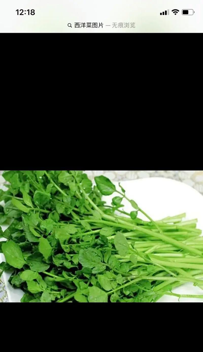 解密豆瓣菜——口感鲜美的家常菜（豆瓣菜是什么菜）