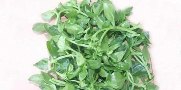 豆腐菜的做法和营养价值（豆腐菜又称为什么菜）