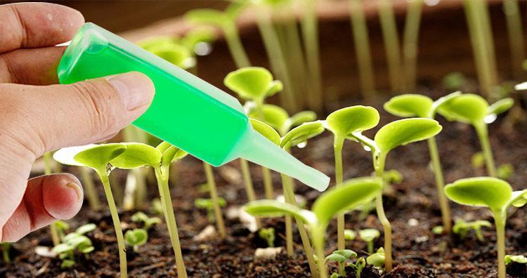 烂苹果真的能用作肥料吗？使用方法是什么？