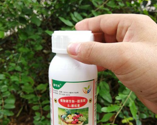 烂苹果真的能用作肥料吗？使用方法是什么？