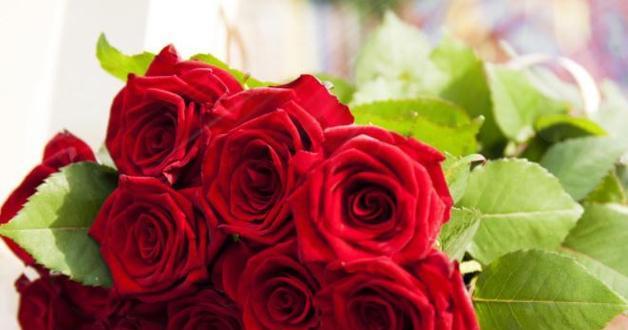 九朵玫瑰花代表什么？花语含义详细解读？