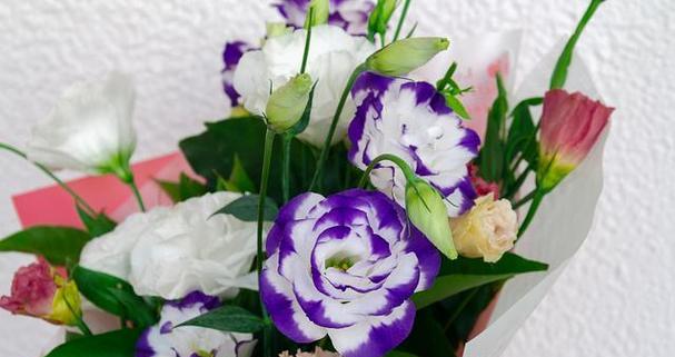 桔梗花代表什么？桔梗花的花语有哪些含义？