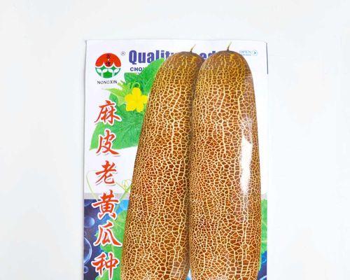 老黄瓜的药用价值是什么？如何利用老黄瓜进行健康养生？