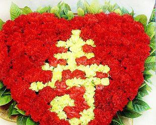老人祝寿送什么花最合适？如何选择寓意吉祥的花卉？