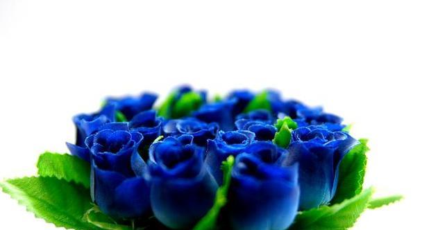 蓝色玫瑰代表什么？花语含义有哪些疑问解答？