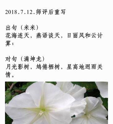 六月雪的花语是什么？它的寓意又有哪些？