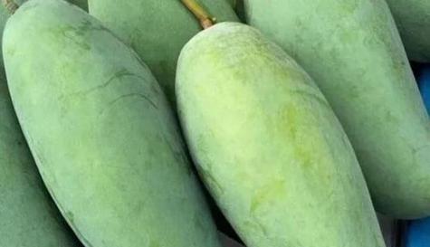 芒果与生肖有什么关联？揭秘芒果代表的生肖象征意义？