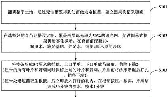 梨树扦插生根最快方法是什么？如何提高梨树扦插成功率？