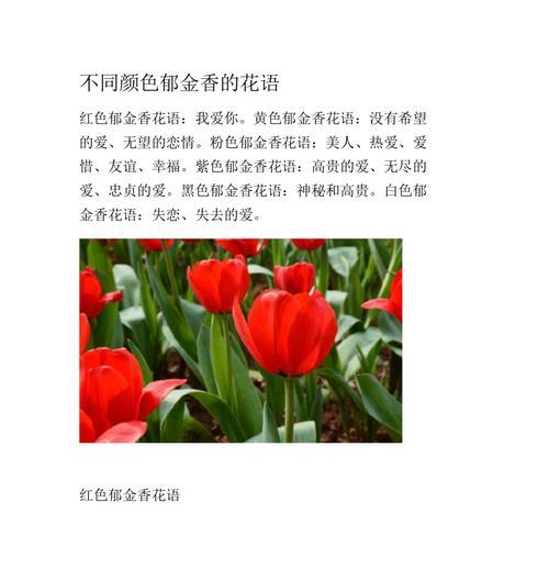 芍药花的花语含义是什么？如何解读芍药花的象征意义？