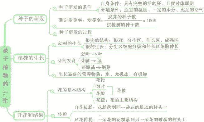 荔浦芋头留种子育种方法是什么？如何正确保存和使用种子？