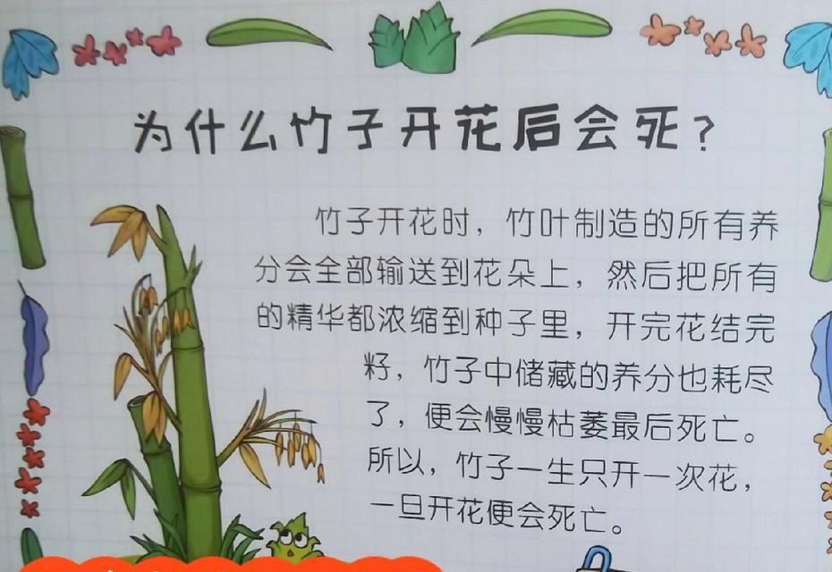 荔枝催花的最佳时间是什么时候？有哪些有效的方法？