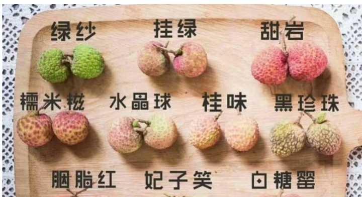 荔枝生长条件和特性是什么？如何优化荔枝的生长环境？