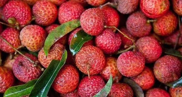 荔枝是凉性还是热性食物？如何根据体质选择食用？