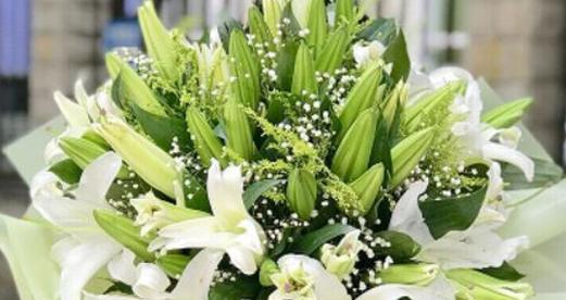 什么花的花语代表复合？复合花语的含义是什么？
