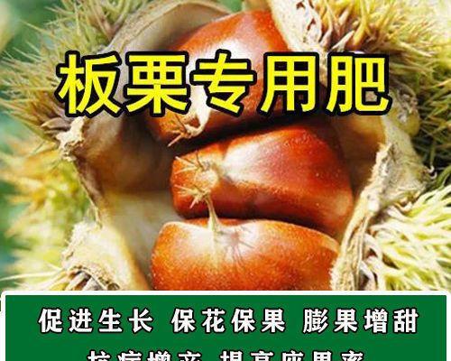一天吃多少栗子最健康？栗子的最佳食用量是多少？