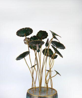 连体花盆适合种什么花？有哪些花卉推荐？