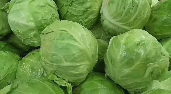 生吃莲花白安全吗？食用前需要注意什么？