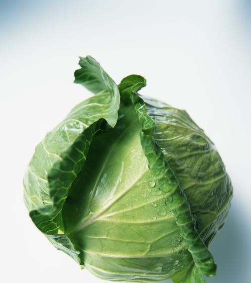 莲花白是什么菜？它的营养价值和烹饪方法有哪些？