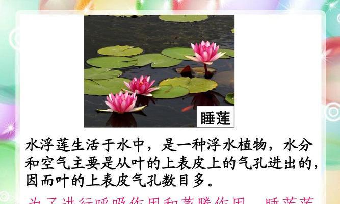 莲花的生长习性特点是什么？生长环境条件有哪些要求？