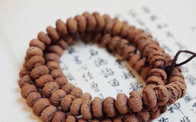 莲花菩提种子的来源是什么？它有哪些特性？