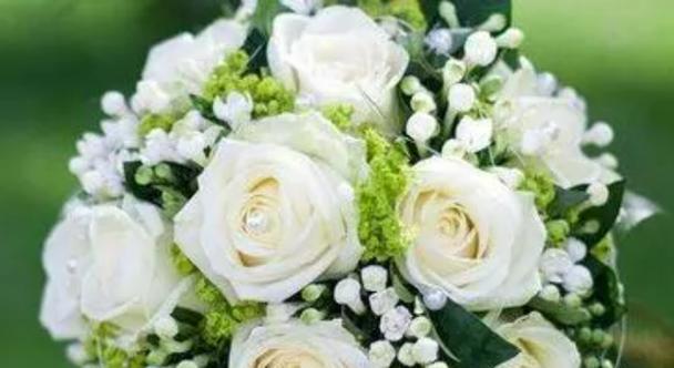 什么花代表浪漫？揭秘花语背后的浪漫含义？