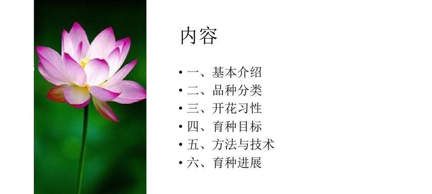 莲花养殖方法有哪些？需要注意哪些事项？