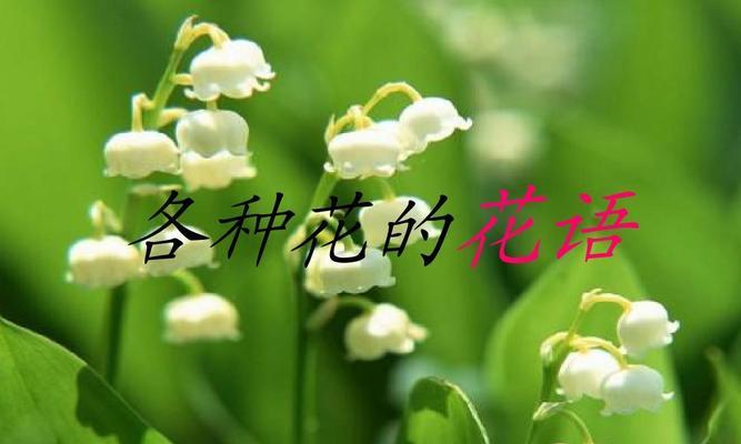 什么花代表平凡？花语中平凡的花有哪些？
