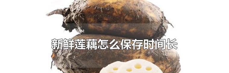 莲藕怎么保存时间长？有效延长莲藕保鲜期的方法是什么？