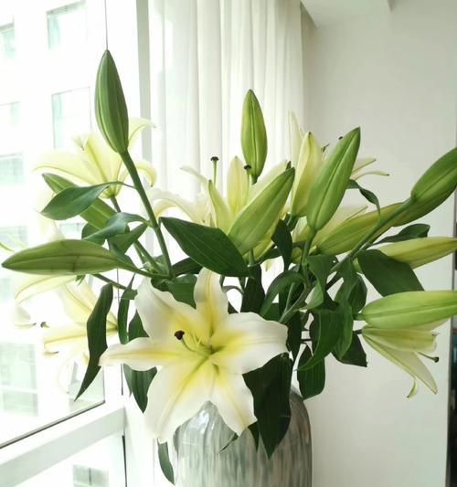 玫瑰花的花语化妆品是什么？玉米配套农药是什么意思？