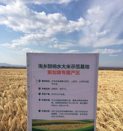 水稻品种分辨机如何使用？