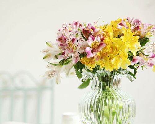 6朵百合代表什么意思？送6朵百合花的含义是什么？