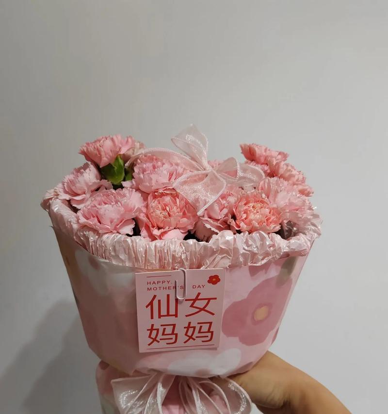 母亲过生日应该送什么鲜花？康乃馨代表什么含义？