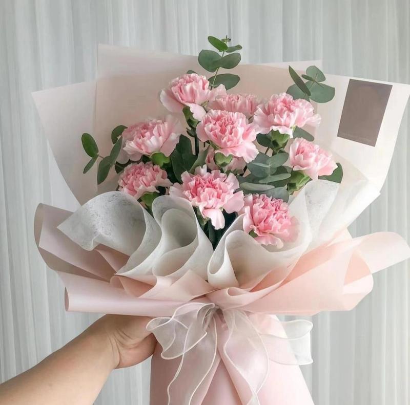 母亲过生日应该送什么鲜花？康乃馨代表什么含义？